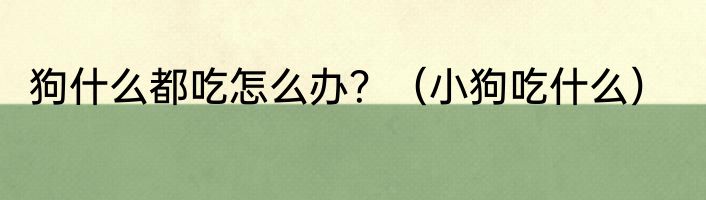 狗什么都吃怎么办？（小狗吃什么）