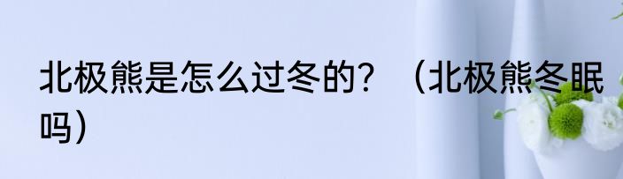 北极熊是怎么过冬的？（北极熊冬眠吗）