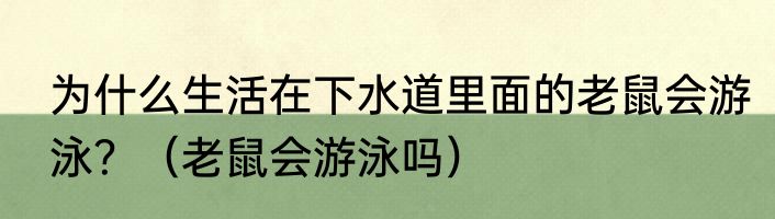 为什么生活在下水道里面的老鼠会游泳？（老鼠会游泳吗）