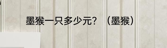 墨猴一只多少元？（墨猴）