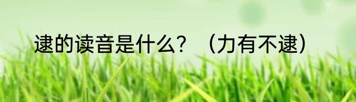 逮的读音是什么？（力有不逮）