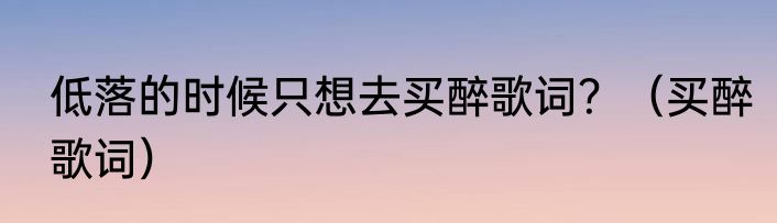 低落的时候只想去买醉歌词？（买醉歌词）
