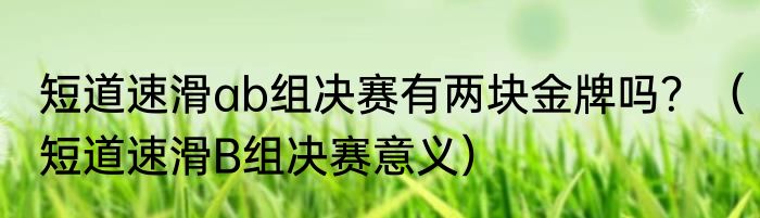 短道速滑ab组决赛有两块金牌吗？（短道速滑B组决赛意义）