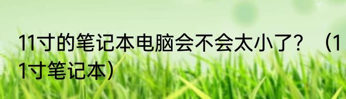 11寸的笔记本电脑会不会太小了？（11寸笔记本）