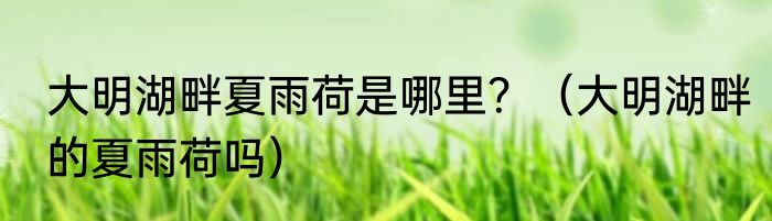 大明湖畔夏雨荷是哪里？（大明湖畔的夏雨荷吗）