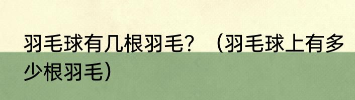 羽毛球有几根羽毛？（羽毛球上有多少根羽毛）