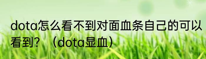 dota怎么看不到对面血条自己的可以看到？（dota显血）