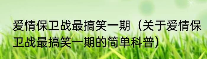 爱情保卫战最搞笑一期（关于爱情保卫战最搞笑一期的简单科普）