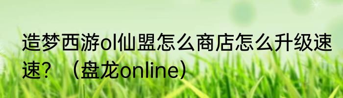 造梦西游ol仙盟怎么商店怎么升级速速？（盘龙online）