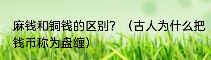 麻钱和铜钱的区别？（古人为什么把钱币称为盘缠）