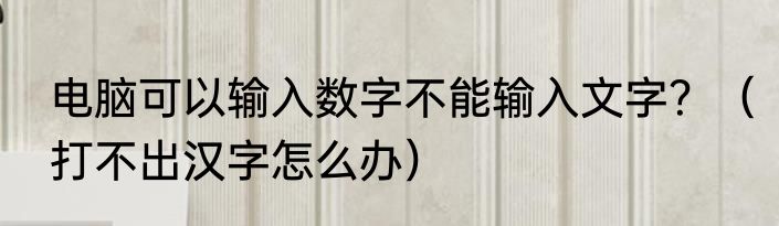电脑可以输入数字不能输入文字？（打不出汉字怎么办）