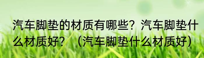 汽车脚垫的材质有哪些？汽车脚垫什么材质好？（汽车脚垫什么材质好）