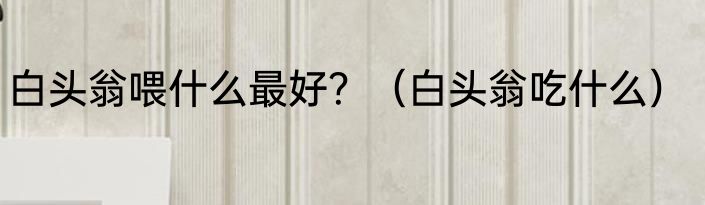 白头翁喂什么最好？（白头翁吃什么）