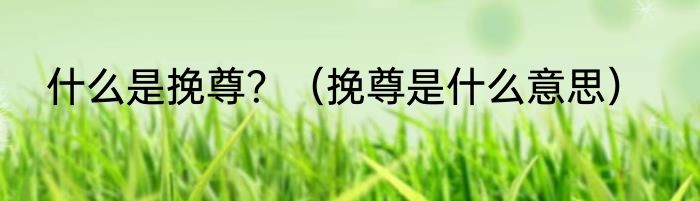 什么是挽尊？（挽尊是什么意思）