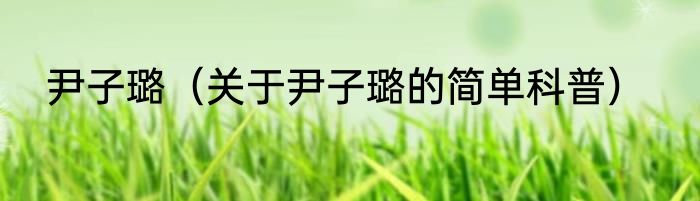 尹子璐（关于尹子璐的简单科普）