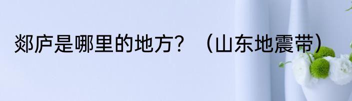 郯庐是哪里的地方？（山东地震带）