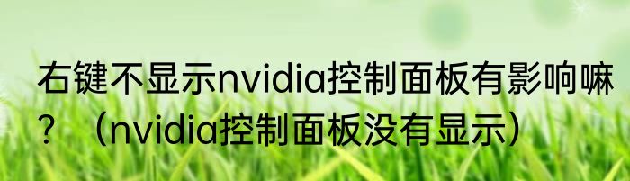 右键不显示nvidia控制面板有影响嘛？（nvidia控制面板没有显示）