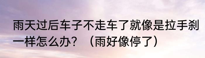 雨天过后车子不走车了就像是拉手刹一样怎么办？（雨好像停了）