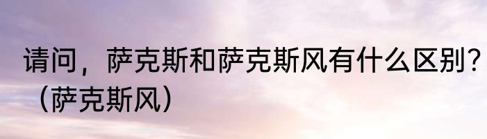 请问，萨克斯和萨克斯风有什么区别？（萨克斯风）
