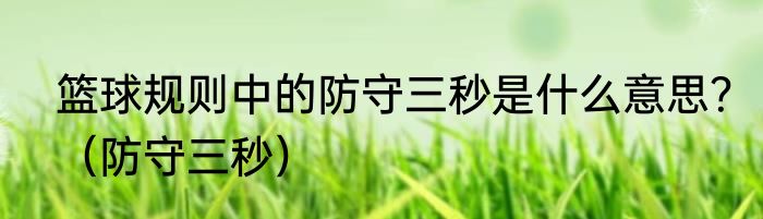 篮球规则中的防守三秒是什么意思？（防守三秒）