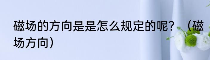 磁场的方向是是怎么规定的呢？（磁场方向）