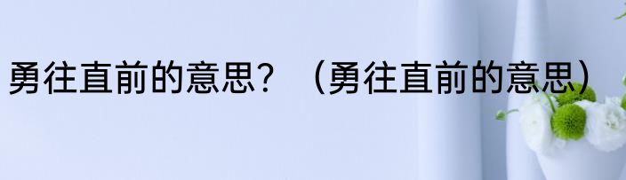 勇往直前的意思？（勇往直前的意思）