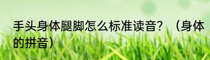 手头身体腿脚怎么标准读音？（身体的拼音）