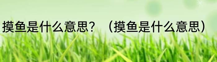 摸鱼是什么意思？（摸鱼是什么意思）