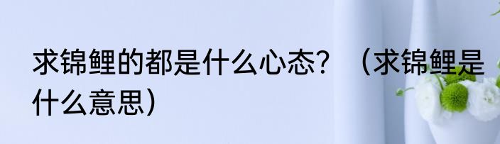 求锦鲤的都是什么心态？（求锦鲤是什么意思）