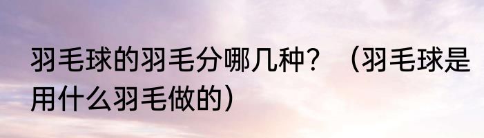 羽毛球的羽毛分哪几种？（羽毛球是用什么羽毛做的）