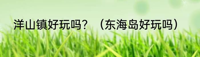 洋山镇好玩吗？（东海岛好玩吗）