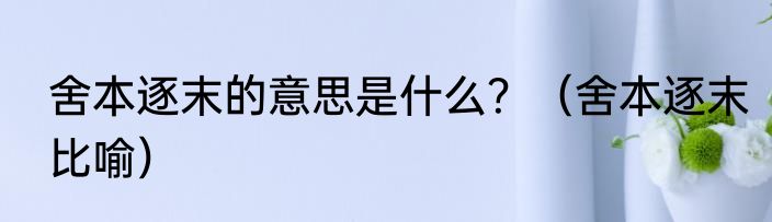 舍本逐末的意思是什么？（舍本逐末比喻）