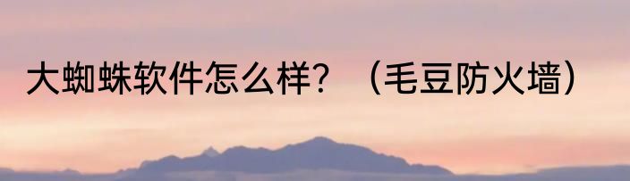 大蜘蛛软件怎么样？（毛豆防火墙）