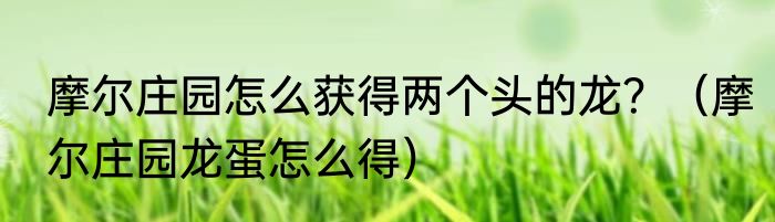 摩尔庄园怎么获得两个头的龙？（摩尔庄园龙蛋怎么得）