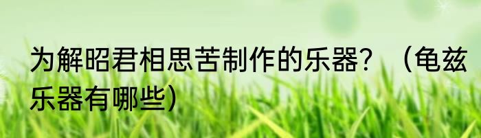 为解昭君相思苦制作的乐器？（龟兹乐器有哪些）