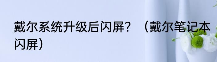 戴尔系统升级后闪屏？（戴尔笔记本闪屏）