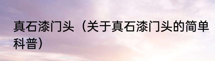 真石漆门头（关于真石漆门头的简单科普）