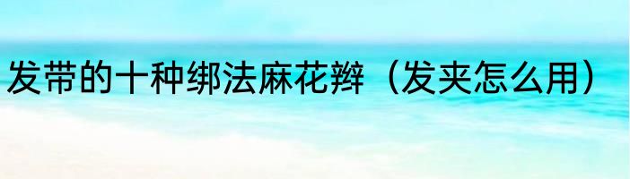 发带的十种绑法麻花辫（发夹怎么用）