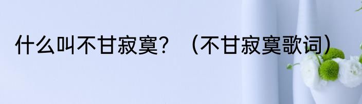 什么叫不甘寂寞？（不甘寂寞歌词）