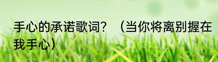 手心的承诺歌词？（当你将离别握在我手心）