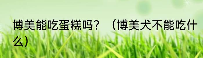 博美能吃蛋糕吗？（博美犬不能吃什么）