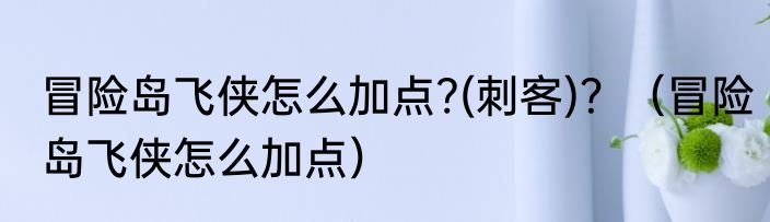 冒险岛飞侠怎么加点?(刺客)？（冒险岛飞侠怎么加点）