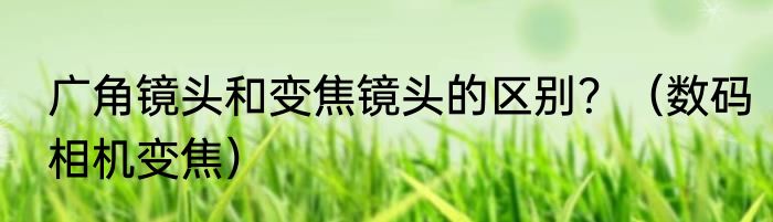 广角镜头和变焦镜头的区别？（数码相机变焦）