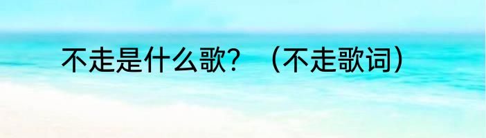 不走是什么歌？（不走歌词）