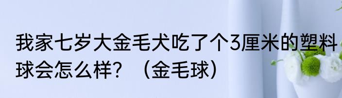 我家七岁大金毛犬吃了个3厘米的塑料球会怎么样？（金毛球）