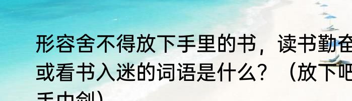 形容舍不得放下手里的书，读书勤奋或看书入迷的词语是什么？（放下吧手中剑）