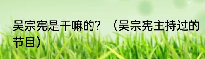 吴宗宪是干嘛的？（吴宗宪主持过的节目）
