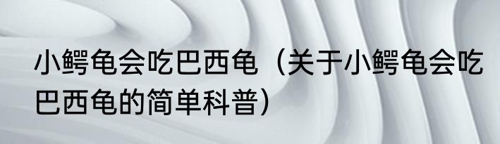 小鳄龟会吃巴西龟（关于小鳄龟会吃巴西龟的简单科普）