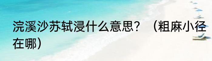浣溪沙苏轼浸什么意思？（粗麻小径在哪）