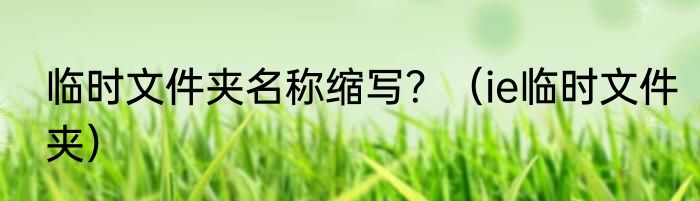 临时文件夹名称缩写？（ie临时文件夹）